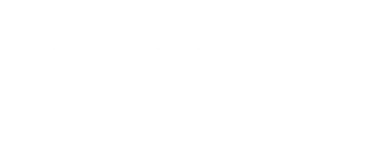 Prime Connected
